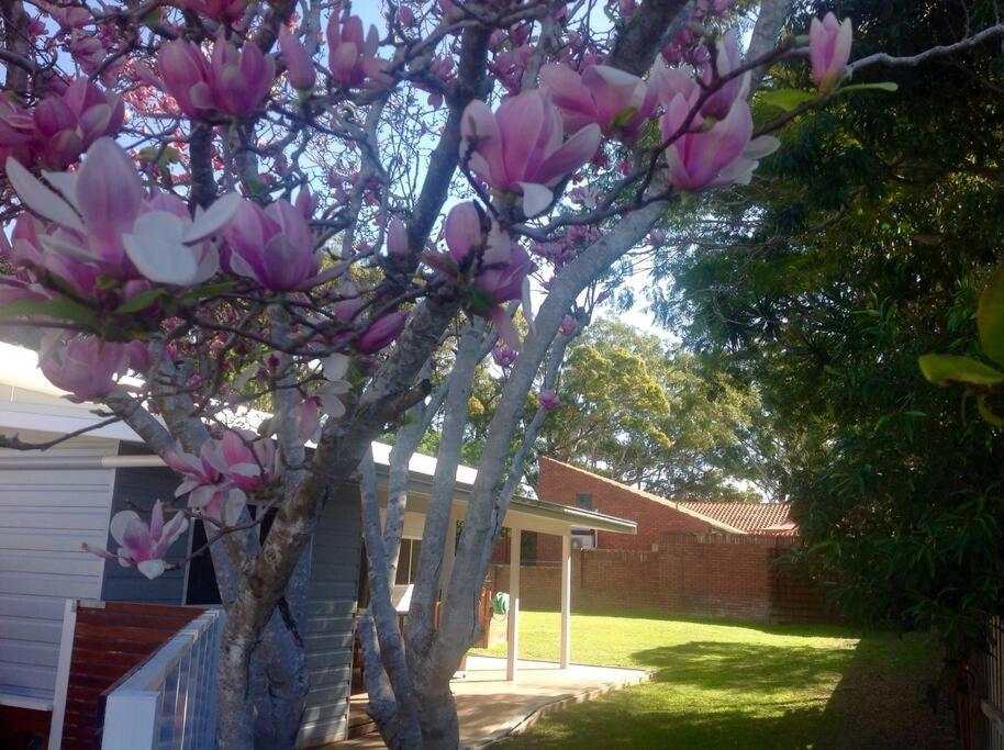 Magnolia Cottage Coffs Harbour Ngoại thất bức ảnh