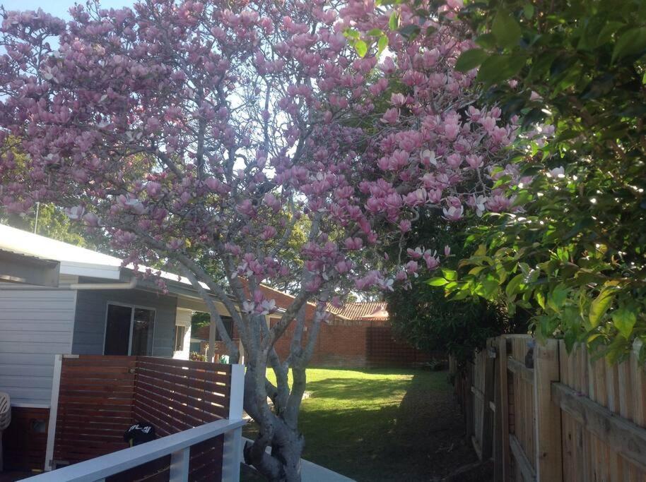 Magnolia Cottage Coffs Harbour Ngoại thất bức ảnh