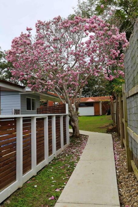 Magnolia Cottage Coffs Harbour Ngoại thất bức ảnh