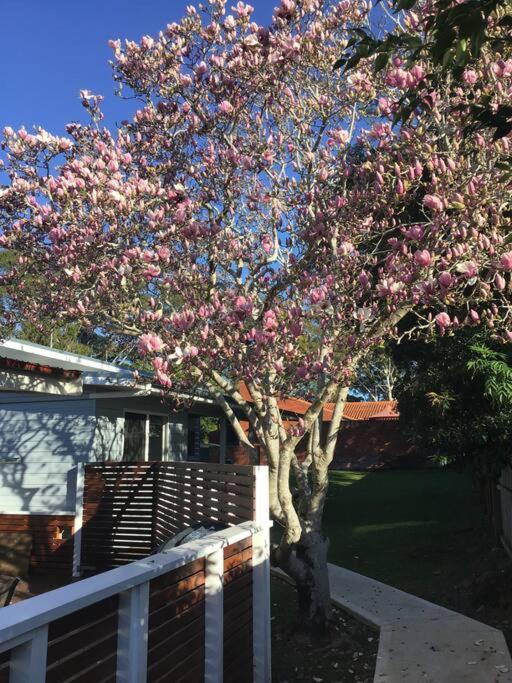 Magnolia Cottage Coffs Harbour Ngoại thất bức ảnh